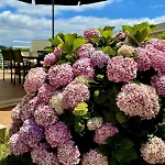 Coastal Breeze In Villa *