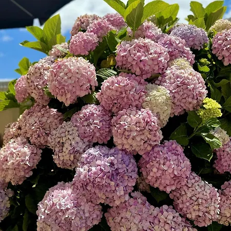 Coastal Breeze In Villa