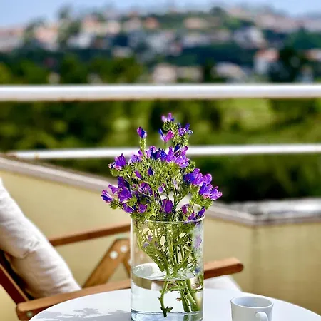 Coastal Breeze In Villa Sesimbra
