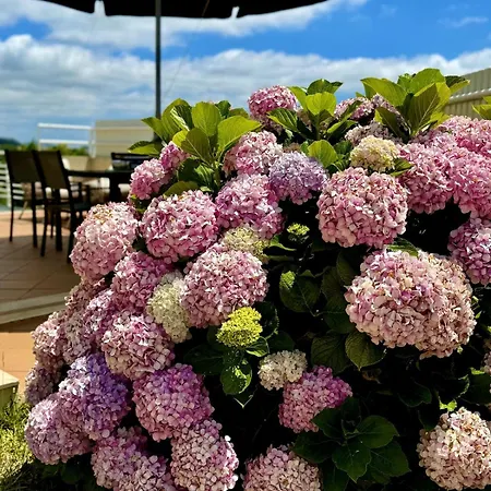 Coastal Breeze In וילה *
