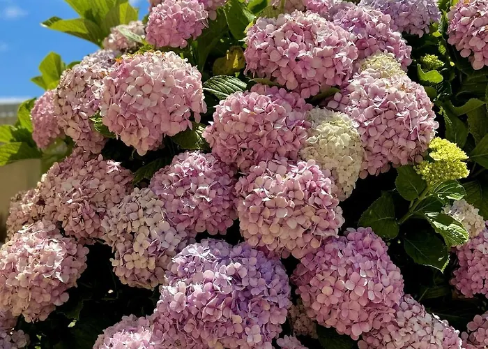 Coastal Breeze In וילה