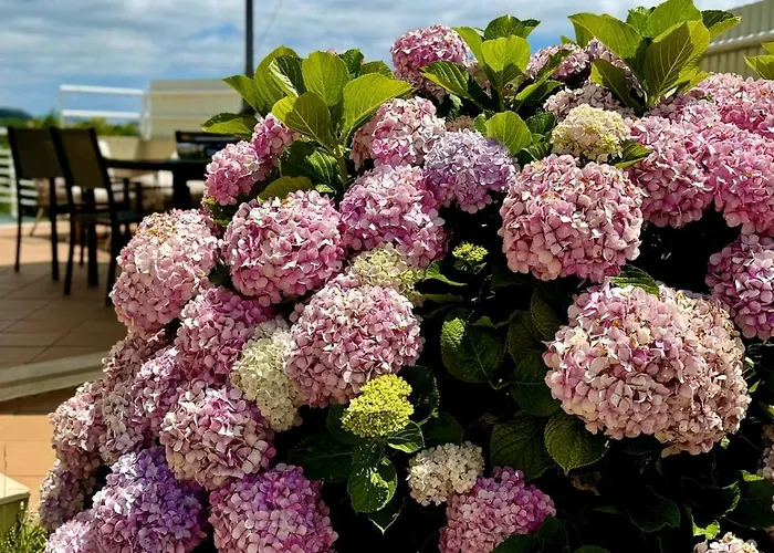 Coastal Breeze In וילה *